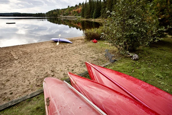 Algonquin Park Muskoka Ontario Lake divočiny — Stock fotografie