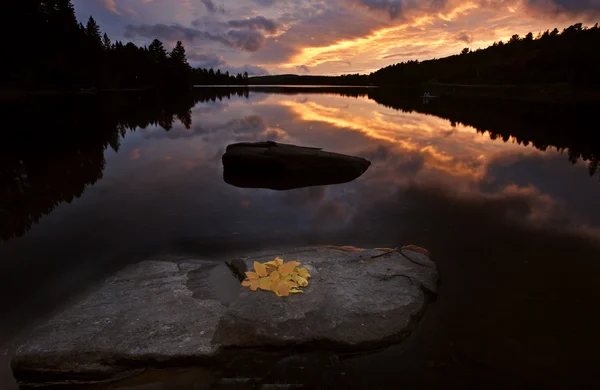 Pustyni jeziora Ontario Muskoka Algonquin Park — Zdjęcie stockowe