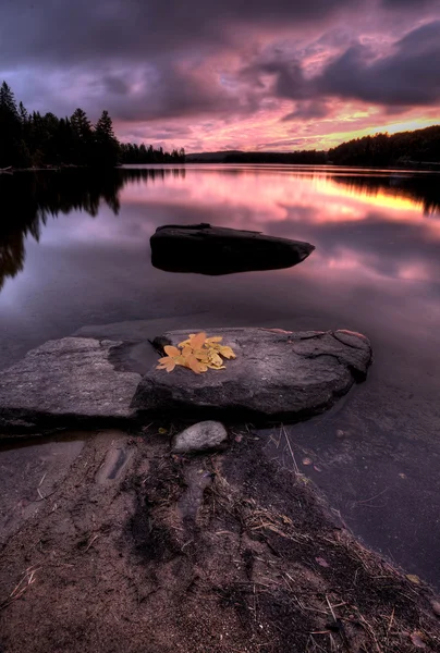 Algonquin Park Muskoka Ontario Lake Wilderness — Stock Photo, Image