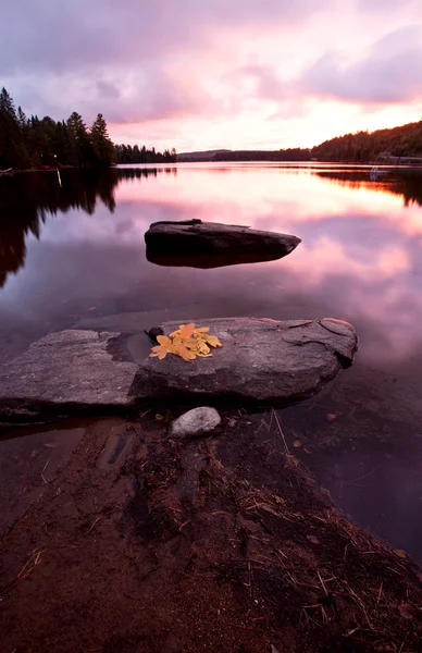 Algonquin Park Muskoka Ontario sjön vildmark — Stockfoto