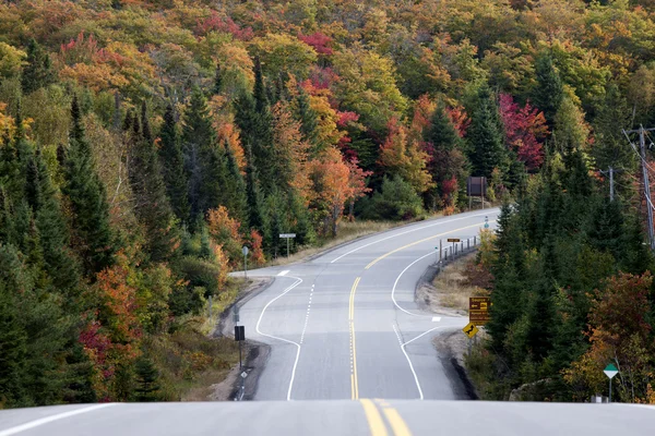 Algonquin Park Muskoka Ontario Road — Stock Fotó