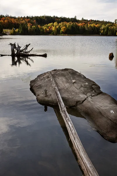 Taman Algonquin Muskoka Ontario — Stok Foto