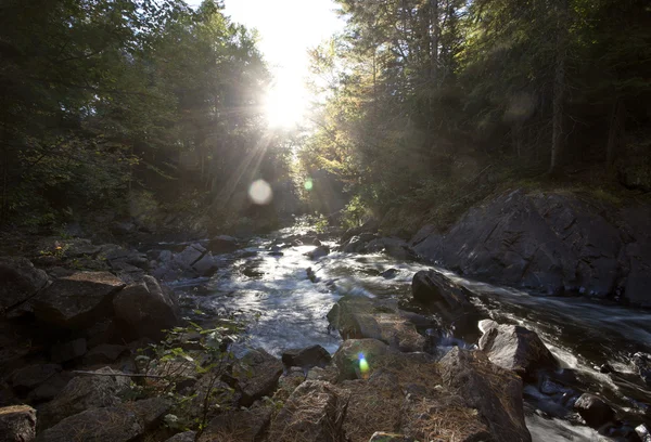 Algonquin Park Muskoka Ontario — Stock Photo, Image