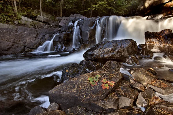 アルゴンキン州立公園マスコーカ オンタリオ滝 — ストック写真
