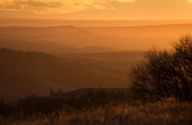 Cypress Hills Alberta Saskatchewan
