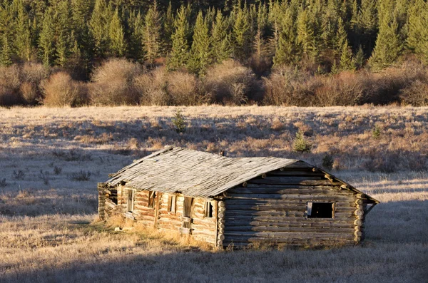 Cypress Hills Alberta Saskatchewan — Stockfoto