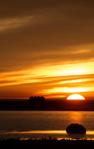 Sonnenuntergang ländlicher Saskatchewan — Stockfoto