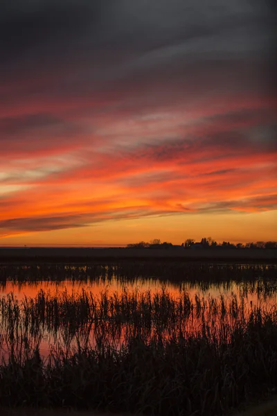 Günbatımı kırsal Saskatchewan — Stok fotoğraf