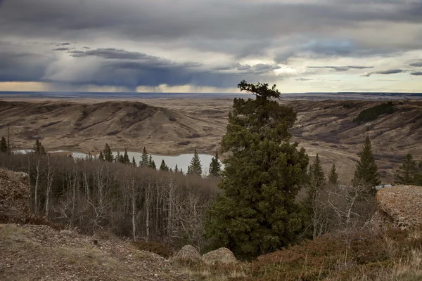 Cypress Hills Alberta Saskatchewan — Stock Photo, Image