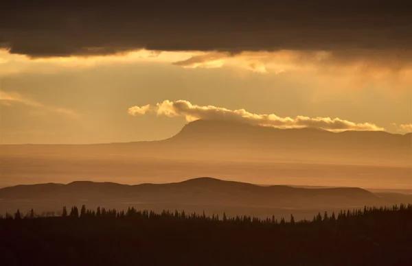 Cypress Hills Alberta Saskatchewan — Stockfoto