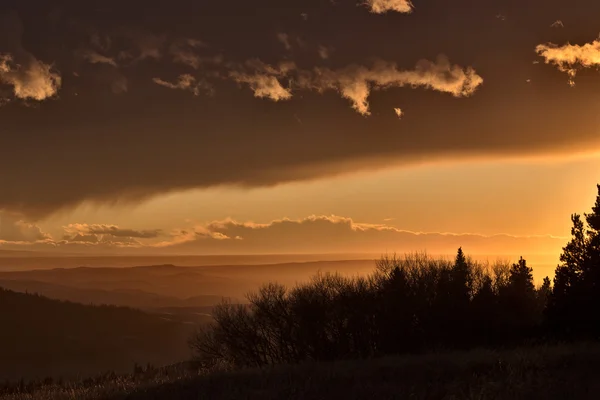 Zypressenhügel alberta saskatchewan — Stockfoto