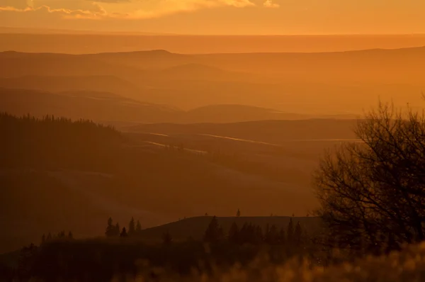 Cypress Hills Alberta Saskatchewan — Fotografia de Stock