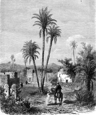 El-Maya Küçük Su, el Aghoua üç gün batısında bulunan vaha