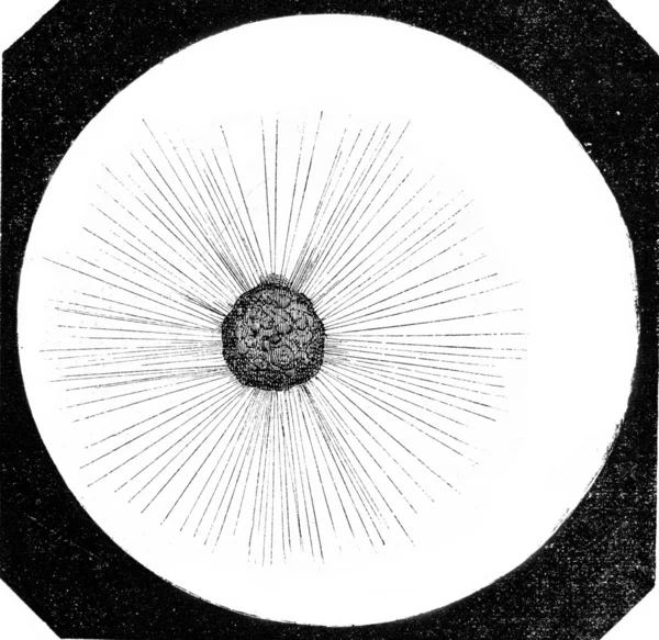 活动性太阳，行动性地面，放大250倍，vintag — 图库照片