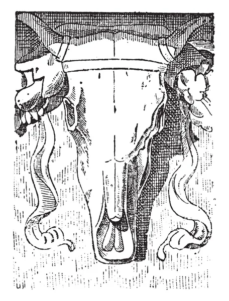 Bucranium, 复古雕刻. — 图库矢量图片
