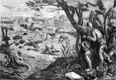 Avcılık vinçler, Jean Stradan sonra, vintage gravür.