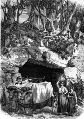 Passage undergrowth near Langon, Gironde, vintage engraving.