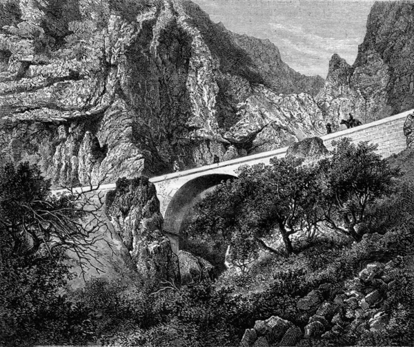 Мост Сент-Луис, Приморские Альпы, винтажная гравировка . — стоковое фото