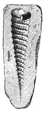 Cerite, vintage oyma.