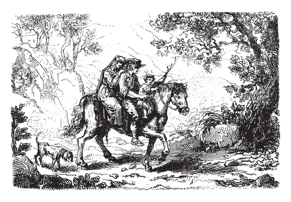 Three horse, vintage engraving. — 스톡 벡터