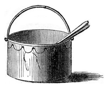 Wild timbale, vintage engraving.