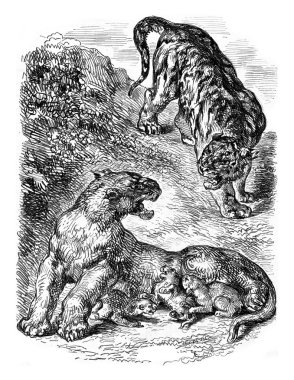 Mr. Eugene Delacroix drawing, vintage engraving.