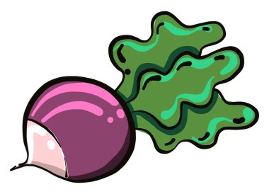 Mor pancar, illüstrasyon, beyaz arkaplanda vektör