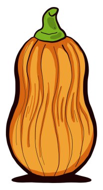 Kabak ezmesi, illüstrasyon, beyaz arkaplanda vektör