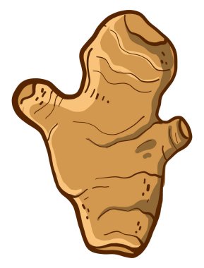 Sağlıklı kızıl, illüstrasyon, beyaz arkaplanda vektör