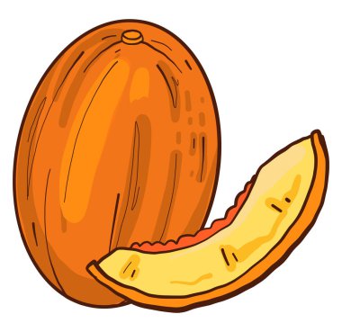 Kavun dilimi, illüstrasyon, beyaz arkaplanda vektör