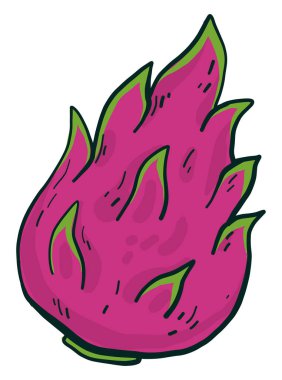Pembe pitaya, illüstrasyon, beyaz arkaplanda vektör