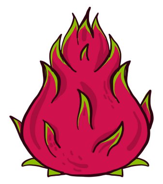 Kırmızı pitaya, illüstrasyon, beyaz arkaplanda vektör