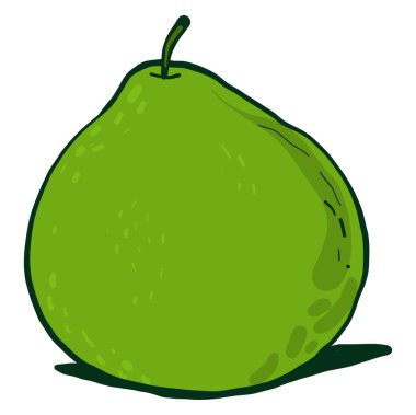 Yeşil armut, illüstrasyon, beyaz arkaplanda vektör