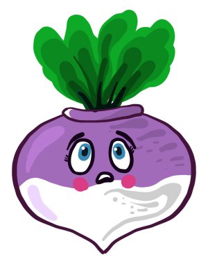 Korkak trurnip, illüstrasyon, beyaz arkaplanda vektör