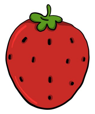 Lezzetli çilek, illüstrasyon, beyaz arkaplanda vektör