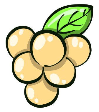 Beyaz üzüm, illüstrasyon, beyaz arkaplanda vektör