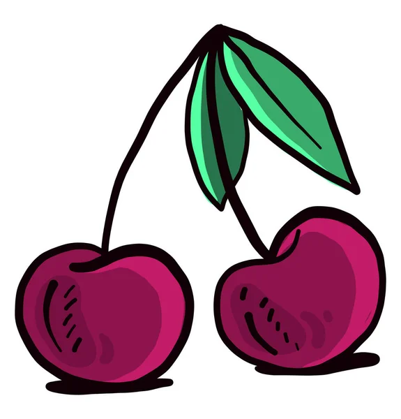 Cereza Rosa Ilustración Vector Sobre Fondo Blanco — Archivo Imágenes Vectoriales