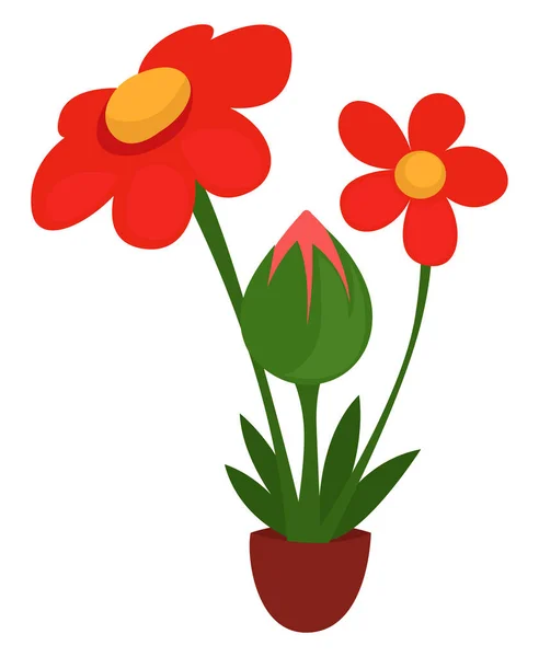 Bloemen Pot Illustratie Vector Witte Achtergrond — Stockvector