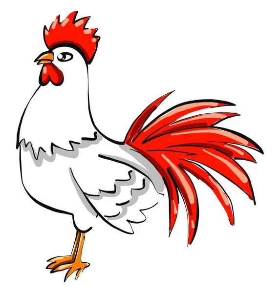 Beyaz Tavuk Illüstrasyon Beyaz Arkaplan Vektörü — Stok Vektör