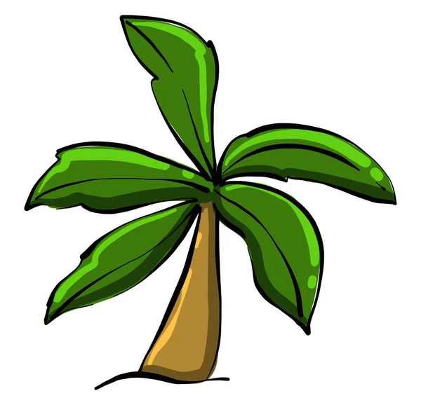Een Palmboom Illustratie Vector Witte Achtergrond — Stockvector