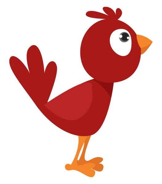 Uccello Rosso Illustrazione Vettore Sfondo Bianco — Vettoriale Stock