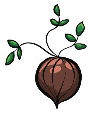 Beyaz arkaplanda soğan, illüstrasyon, vektör.