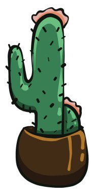 Uzun kaktüs, illüstrasyon, beyaz arka planda vektör..
