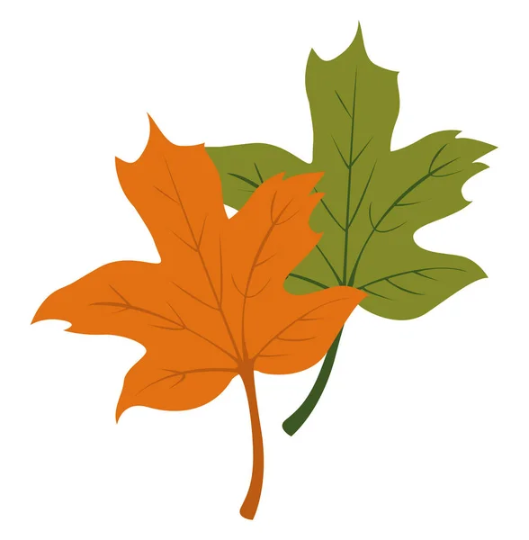 Feuilles Automne Illustration Vecteur Sur Fond Blanc — Image vectorielle