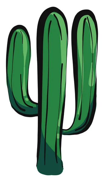 Zöld Kaktusz Illusztráció Vektor Fehér Alapon — Stock Vector