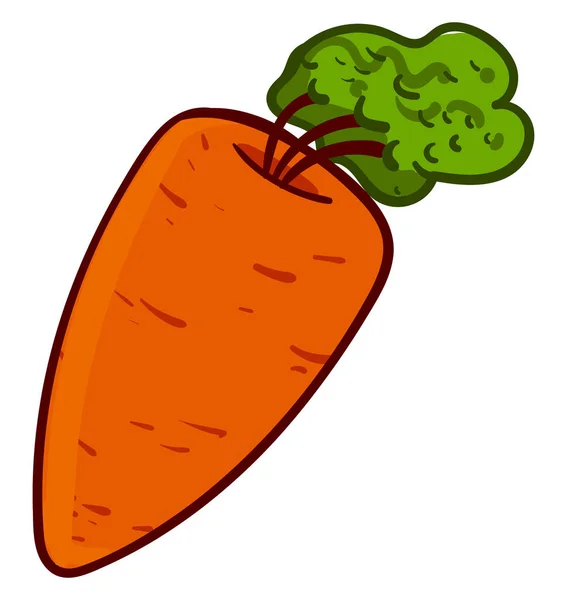 Carrot cultivation Stock-Vektorbilder | Depositphotos