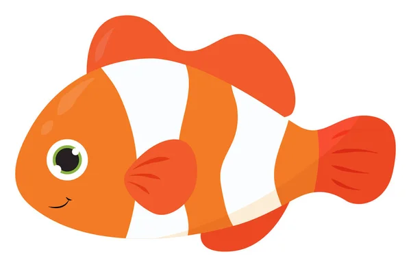 Clown Fish Illustration Vector White Background — Stock Vector