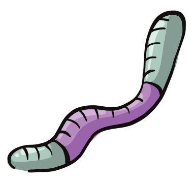 Mor jöle solucanları, illüstrasyon, beyaz arka planda vektör..