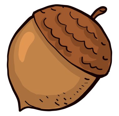 Küçük kahverengi meşe palamudu, illüstrasyon, beyaz arkaplanda vektör.