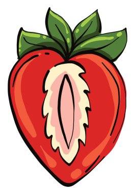 Çilek ikiye bölünmüş, illüstrasyon, beyaz arkaplan üzerinde vektör.